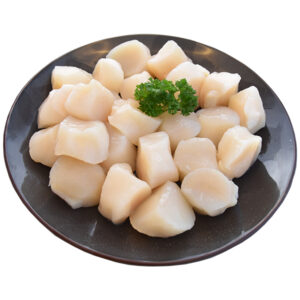 vishandel-rokkeveen_coquilles